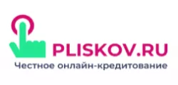 Займы Pliskov