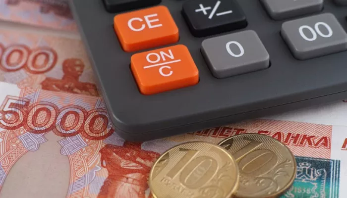 Как получить финансовую поддержку от государства