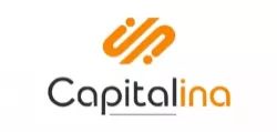 Займы Capitalina